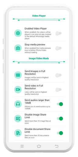 GB WhatsApp image and video screenshot